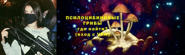 первитин Краснослободск