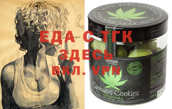 индика Кулебаки