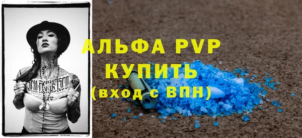 индика Кулебаки