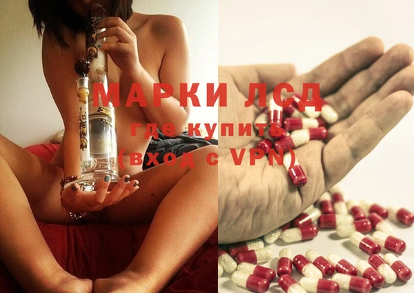 индика Кулебаки