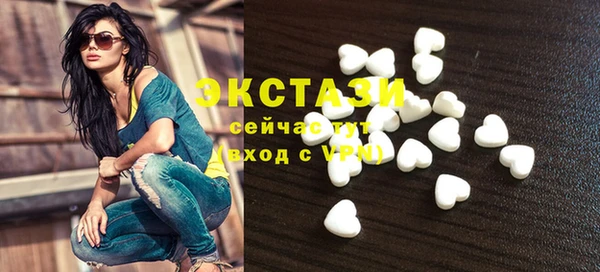 индика Кулебаки