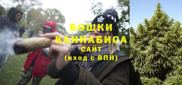 индика Кулебаки