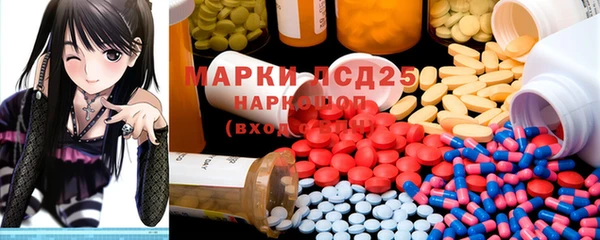 индика Кулебаки