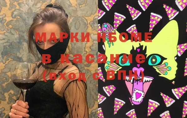 индика Кулебаки