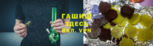 индика Кулебаки