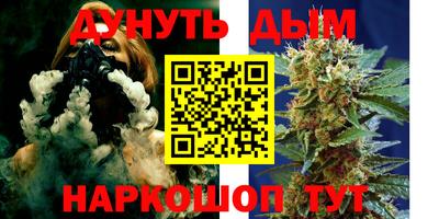 гидропоника Камышлов