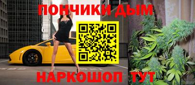 гидропоника Камышлов
