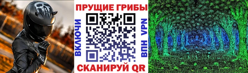 Галлюциногенные грибы Magic Shrooms  Красный Сулин 